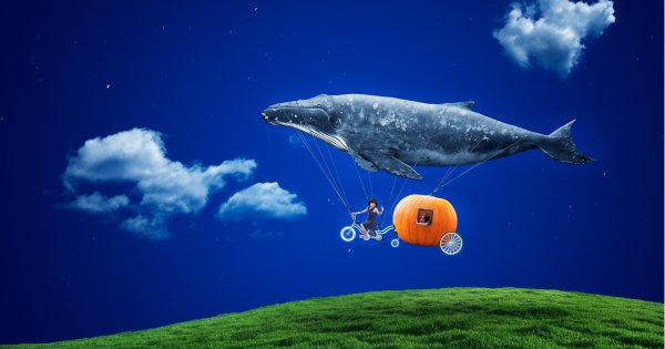 What Dreams May Come Atlas Indicators Investment Advisors